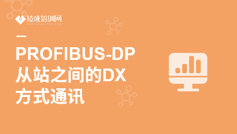 PROFIBUS-DP从站之间的DX方式通讯